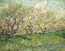 Orchard in Bloom, Arles