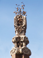 Finca Güell, Orangenbaum