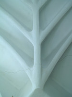 Torre Bellesguard, Rippenstruktur an der Decke im zweiten Stock