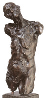 Torse de Clotho chauve