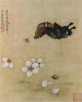 Fallen Flowers and Nymphalidae