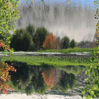 A Reflection of the White Sand Lake