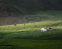 A Whiter House in a Pasture of Kanas