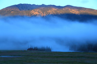 Morning in the Duck Swamp Bay