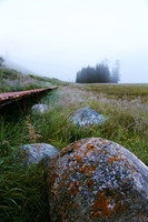 Passing Way in the Duck Swamp Bay