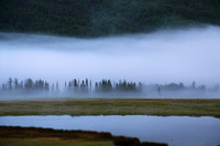 The Foggy Duck Swamp Bay