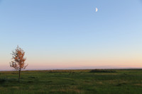 The West Marsh near Habahe