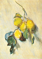 Branch of a Lemon Tree