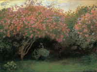 Lilas en un día gris