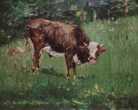 Young Bull in a Meadow