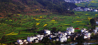 Wuyuan in Spring