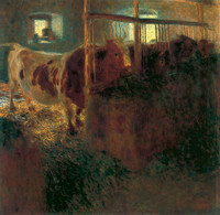 Cow Shed