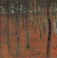 Forest of Beech Trees I