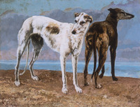 Die Windhunde des Comte de Choiseu