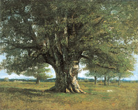 The Oak Tree at Flagey, called the Oak of Vercingetorix