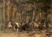 The Spring Rut, Battle of the Stags