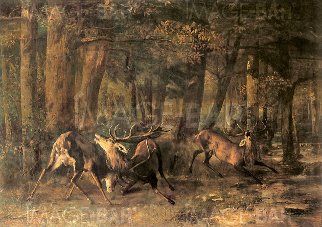 The Spring Rut, Battle of the Stags