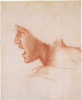 Warrior (The Red Head), Study for the Battle of Anghiari