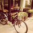 A Bicycle near a Flowerbed