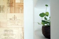 A Plant and a Decoration on the Wall