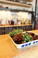 A Plate of Sedum Rubrotinctum