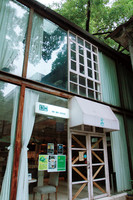 Outside Look of the Tree Cafe