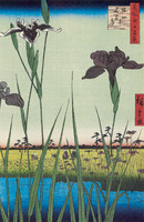 Irises at Horikiri, Horikiri-no hanashôbu