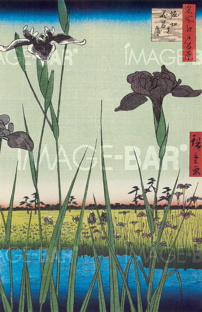 Irises at Horikiri, Horikiri-no hanashôbu