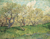 Obstgarten in der Blüte, Arles