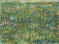 Flecken von Gras, Paris
