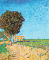 Weg in der Nähe von Arles, Arles