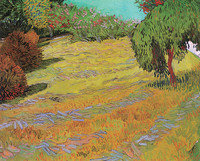 Prairie avec saule pleureur, Arles