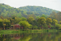 A Close-up of the Baguatian Park in Spring